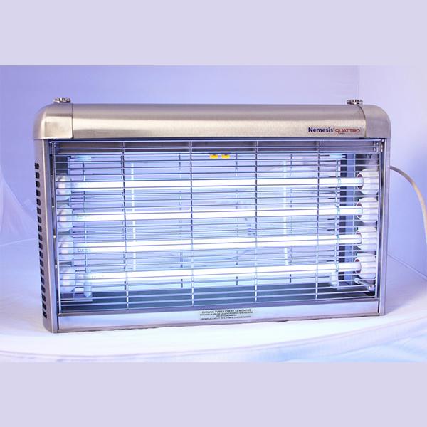 Désinsectisation de cafard, Mulhouse