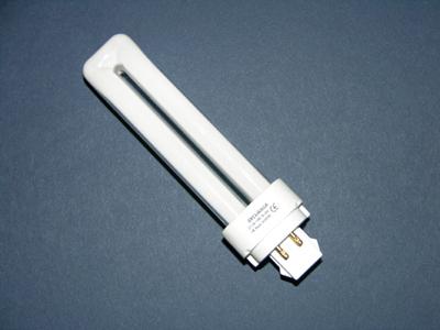 Désinsectisation de puces Mulhouse