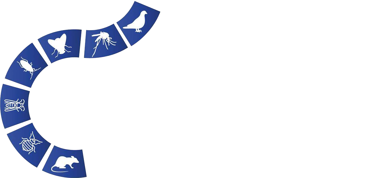 EASY SERVICES EST SARL