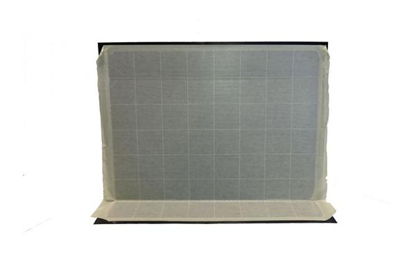 Désinsectisation de puces Mulhouse