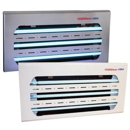 Désinsectisation de puces Mulhouse