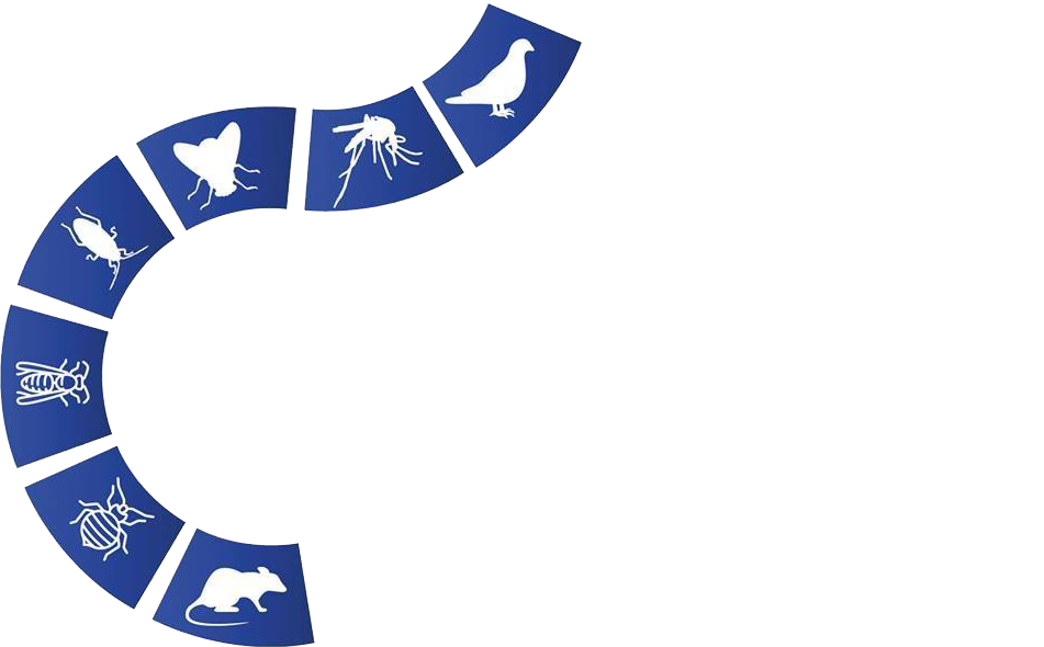 EASY SERVICES EST SARL