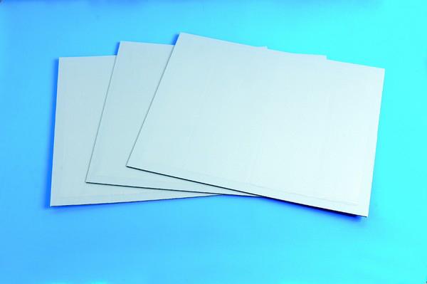 Désinsectisation de puces Mulhouse