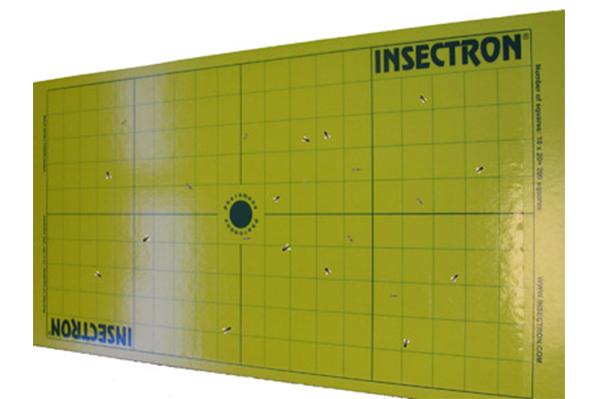 Désinsectisation de puces Mulhouse