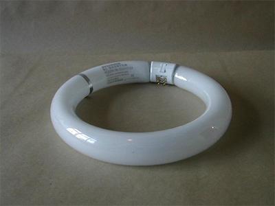 Désinsectisation de cafard, Mulhouse