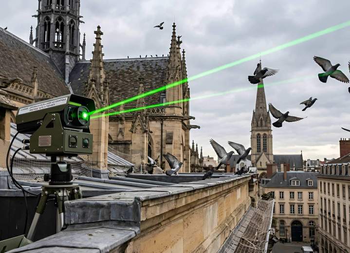 Laser effaroucheur automatique Mulhouse