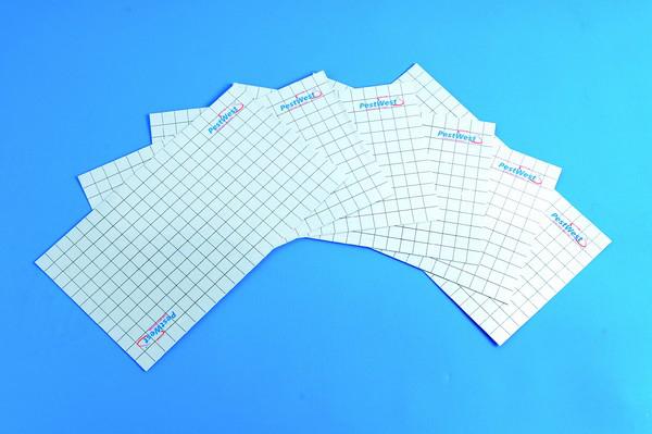 Désinsectisation de puces Mulhouse