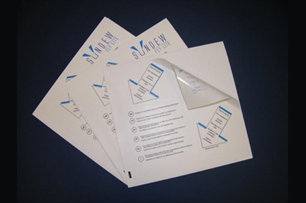 Désinsectisation de puces Mulhouse