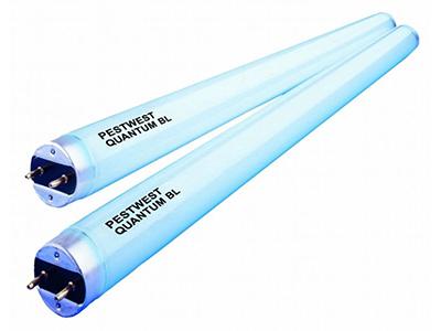 Désinsectisation de cafard, Mulhouse