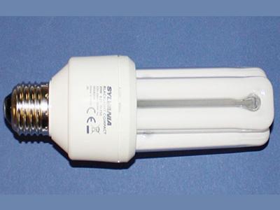 Désinsectisation de puces Mulhouse